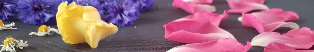 Rozenbloemblaadjes, korenbloem, koningskaars en kamille op een droogrek